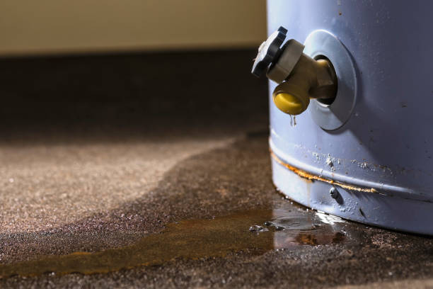 Best Water damage mitigation services  in Granville, WV