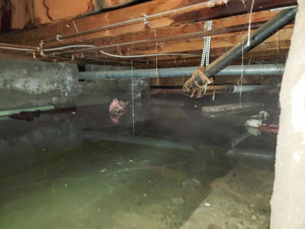 Best Water damage cleanup near me  in Granville, WV