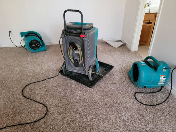 Best Flooded house restoration  in Granville, WV