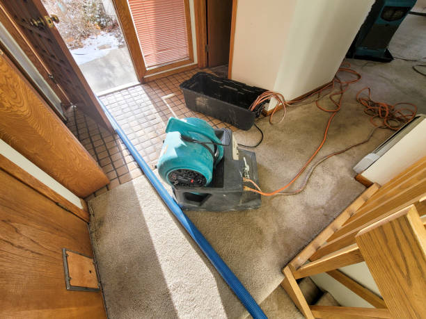 Best Water damage cleanup near me  in Granville, WV