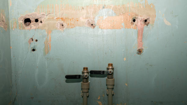 Best 24/7 water damage repair  in Granville, WV