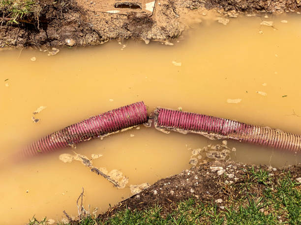 Best Mold removal after water damage  in Granville, WV